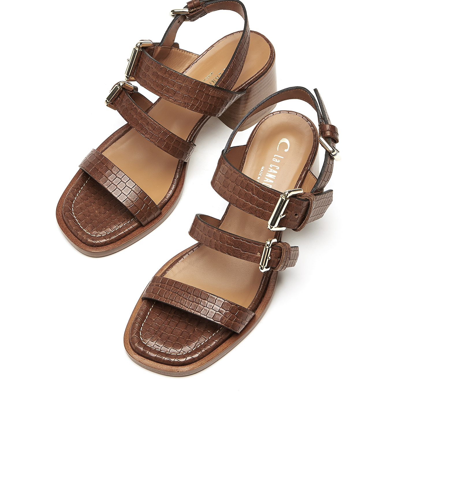 Shop La Canadienne Radiate Leather Sandal In Brown